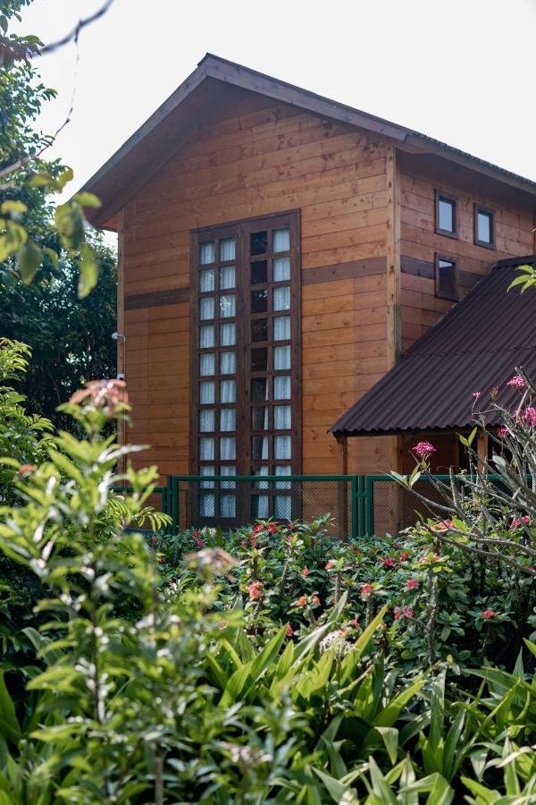 The Pine Loft Villa Bangalore Exterior foto
